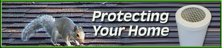 Protecting Your Home with Plumbing Vent Covers
