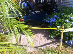 Tortoise hole w view of Golf Cart