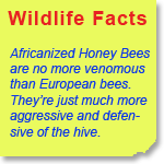 Nuisance Wildlife Facts